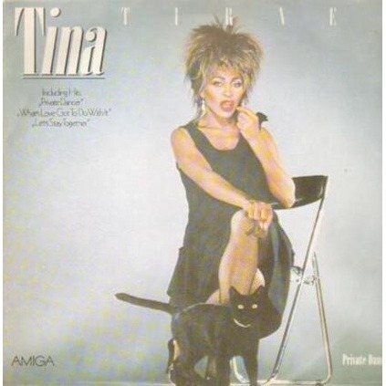 [USED Excellent Tested Record, 1 Vinyl/LP] - Tina Turner - Private Dancer
